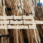 Manfaat Luar Biasa Kapsul Herbal Pasak Bumi Untuk Kesehatan Pria