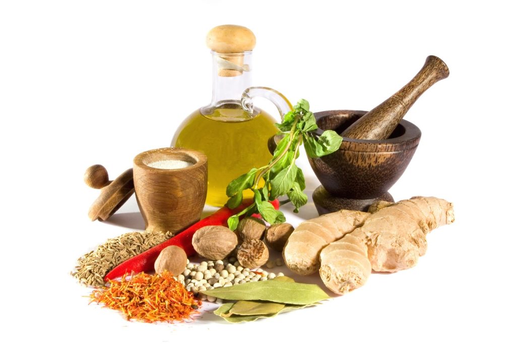 bisnis herbal