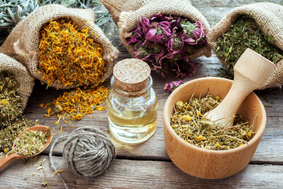 Jasa Pengadaan Obat Herbal, Terbaik dan Terpercaya