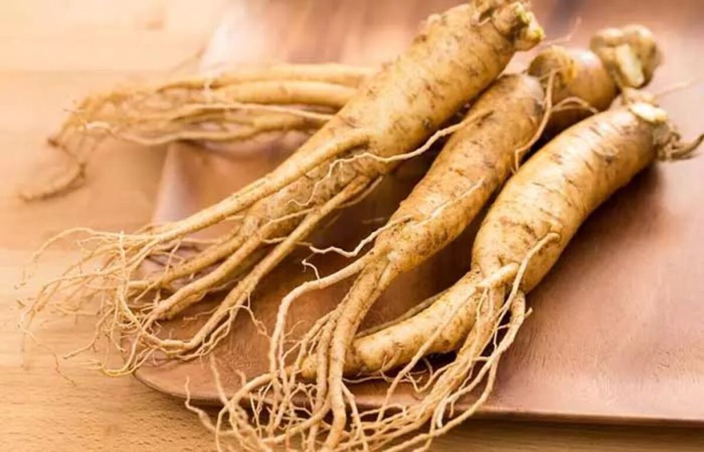 ginseng rahasia vitalitas dan umur panjang