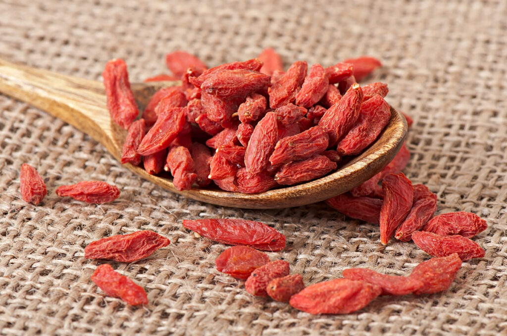 manfaat goji berry untuk meningkatkan energi dan stamina