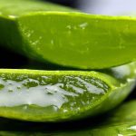 bakar lemak dengan aloe vera cara alami yang efektif