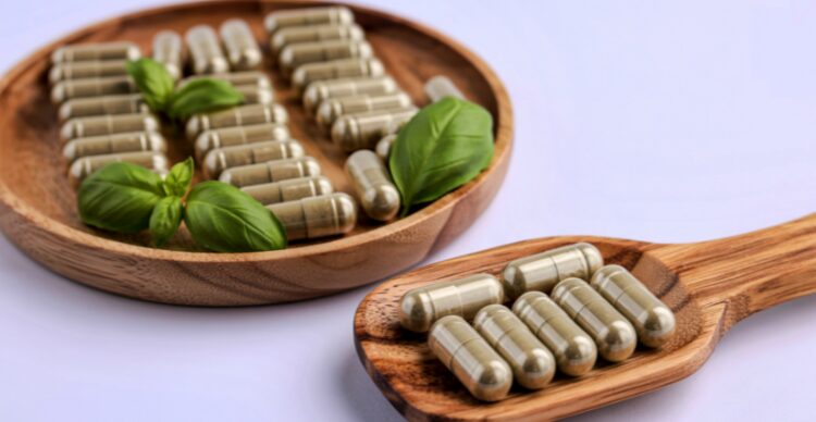 sambiloto untuk infeksi bakteri