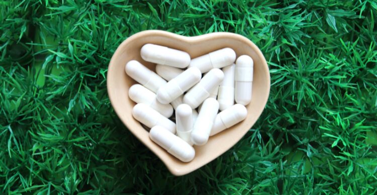 sambiloto untuk detoks tubuh