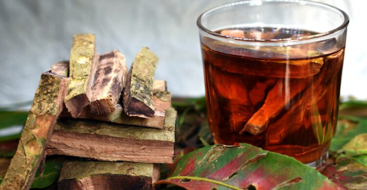 maklon herbal skala kecil