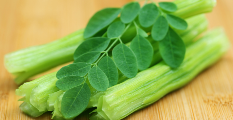 manfaat daun kelor untuk ibu menyusui