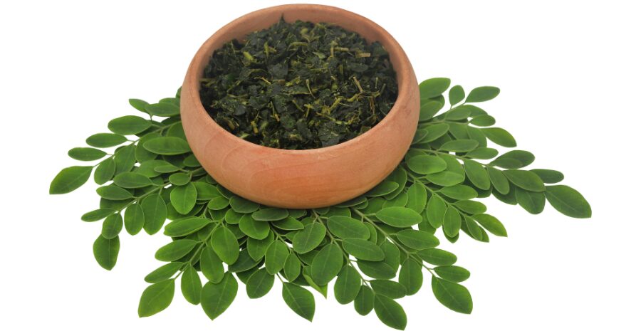 cara membuat teh daun kelor