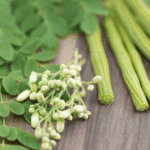 daun kelor untuk diabetes