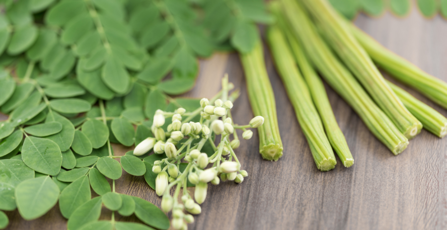 daun kelor untuk diabetes