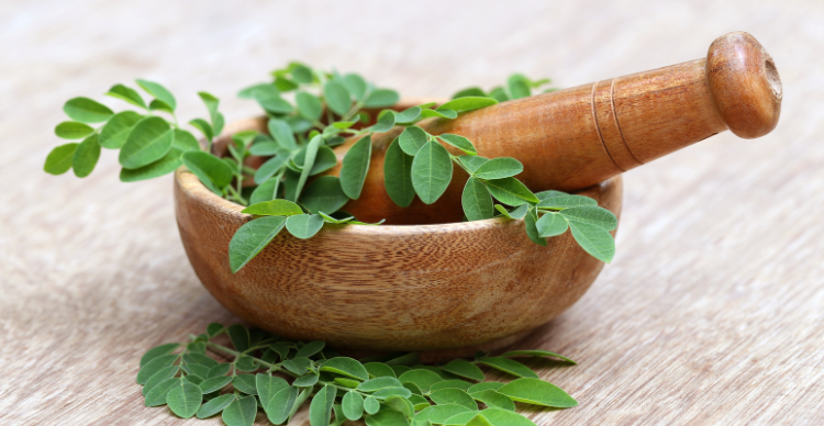 daun kelor untuk kecantikan