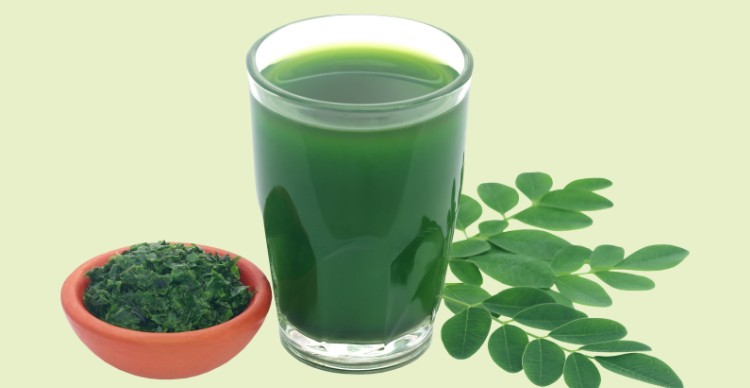 produk daun kelor terbaik