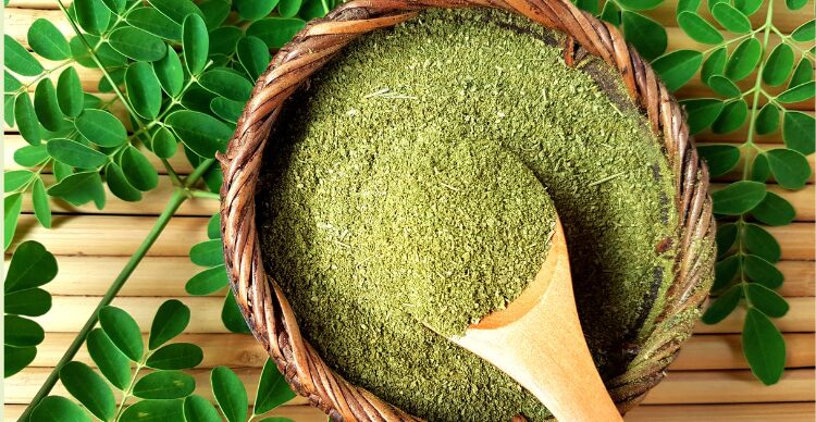 kombinasi daun kelor dan temulawak