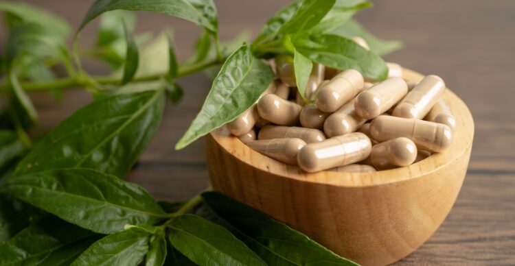 Cara Menanam Sambiloto di Rumah