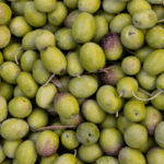 review buah zaitun kalengan terbaik