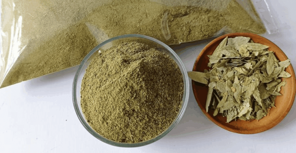 daun jati cina untuk menurunkan berat badan