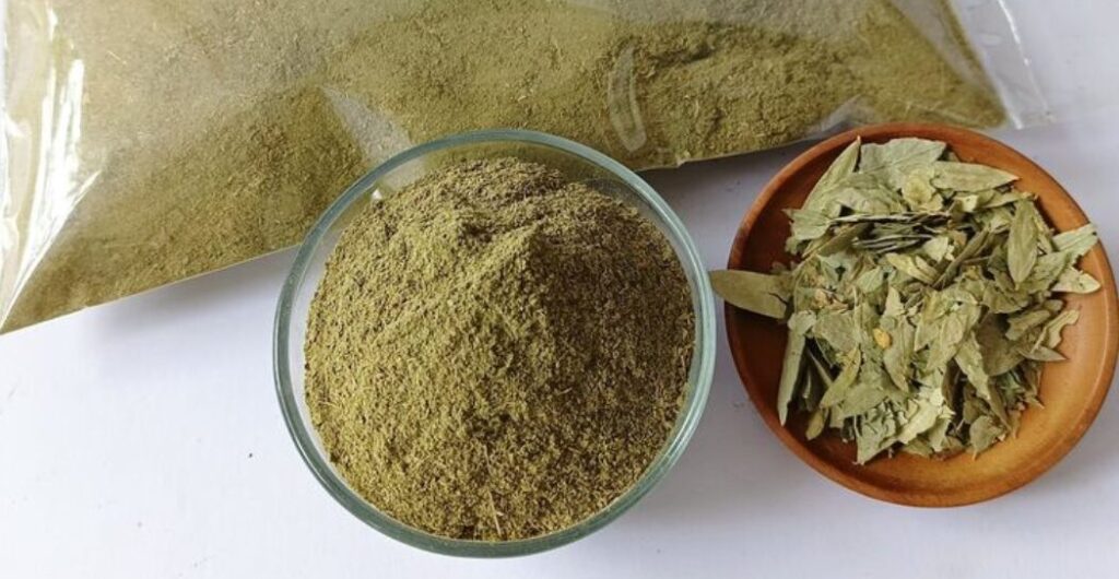 daun jati cina untuk menurunkan berat badan