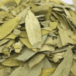 efek samping konsumsi jati cina