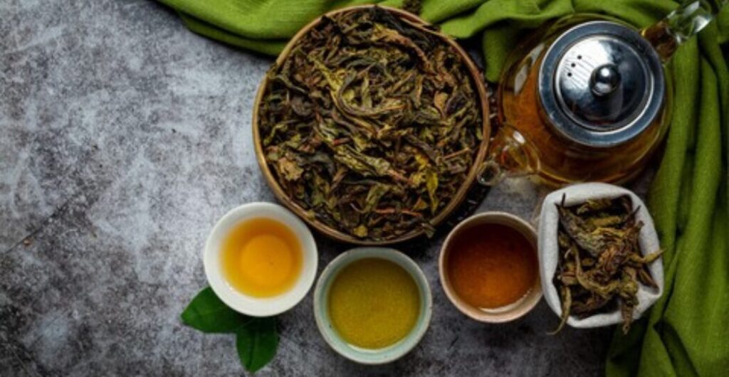 kandungan senyawa aktif daun jati cina