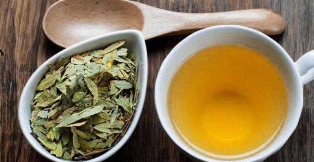 daun jati cina untuk sembelit