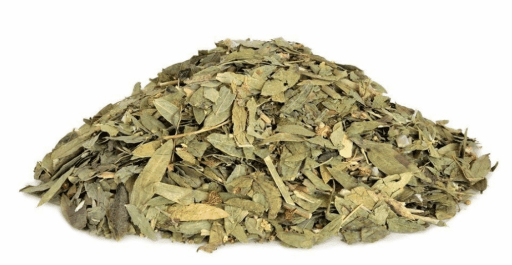 herbal jati cina untuk detox