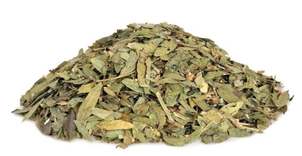 herbal jati cina untuk detox