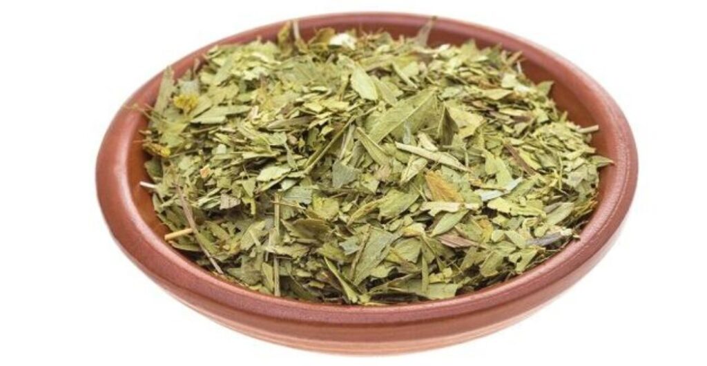 amankah daun jati cina untuk ibu menyusui