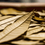 campuran jati cina dan jahe untuk diet