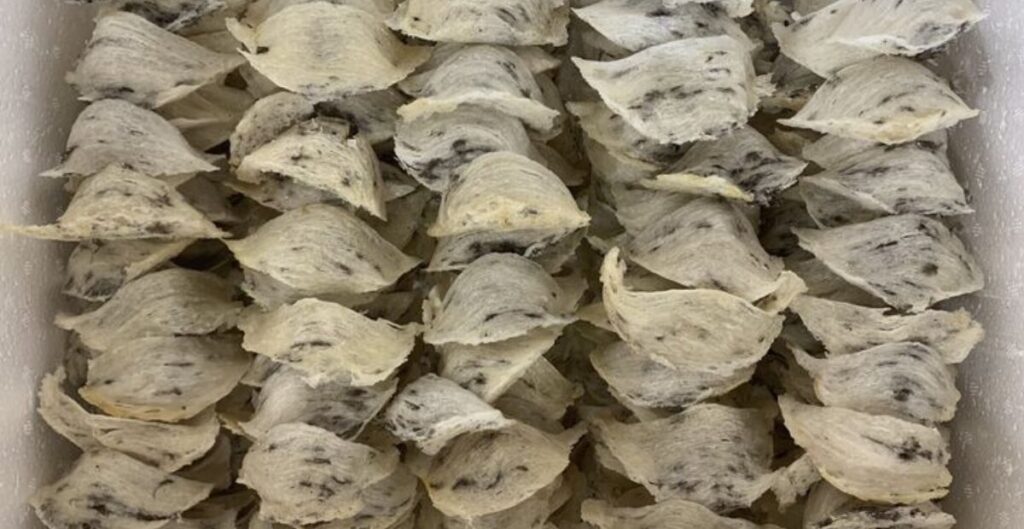 sarang walet untuk ibu hamil