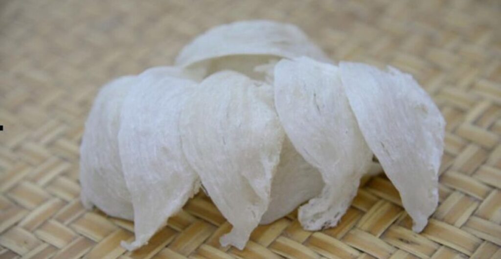 inovasi olahan sarang walet