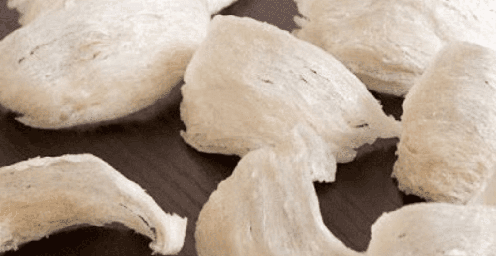 review produk sarang walet terbaik
