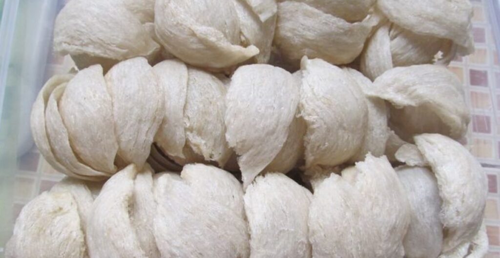 kandungan gizi sarang walet