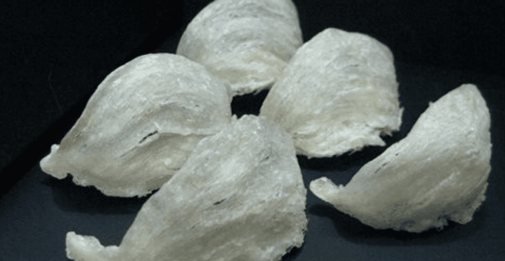 pasar ekspor sarang walet ke China