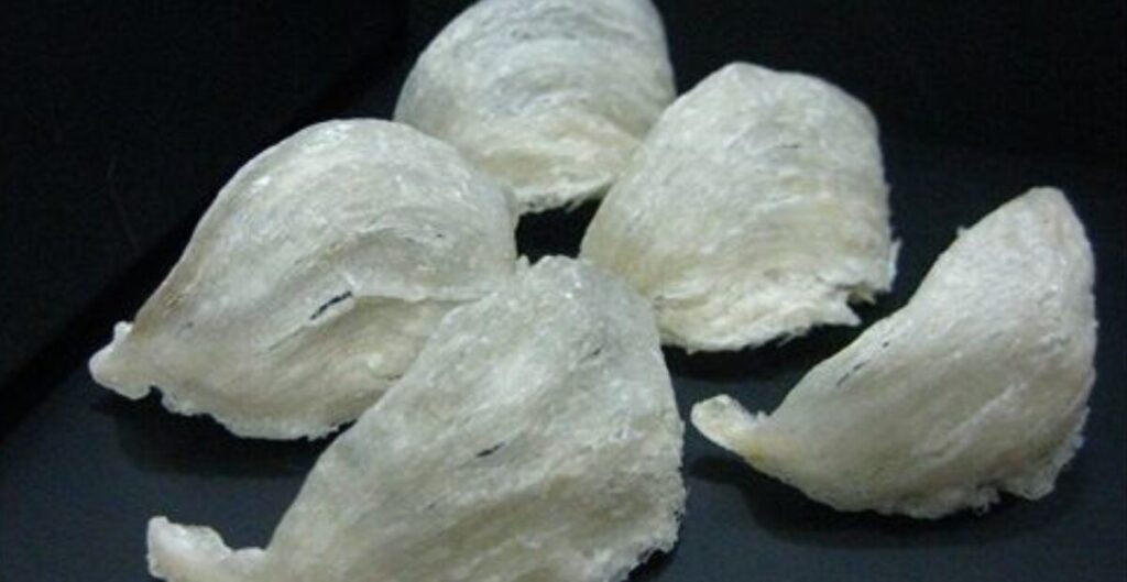 pasar ekspor sarang walet ke China