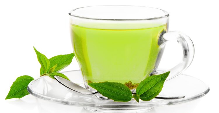 teh herbal sambiloto