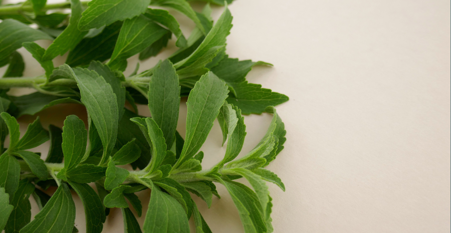 apakah stevia aman menurut bpom