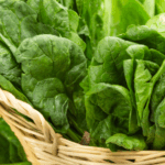 manfaat daun bayam untuk ibu hamil