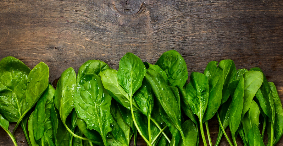 daun bayam untuk program diet