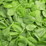 daun bayam sebagai obat alami