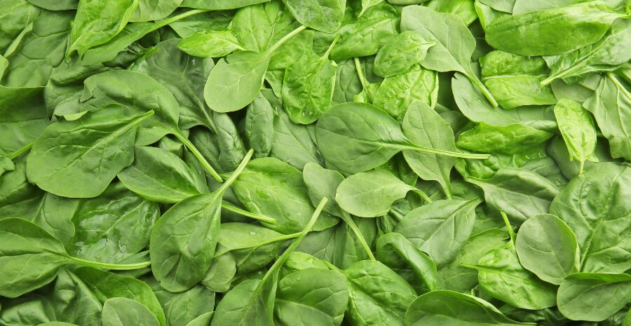 daun bayam sebagai obat alami