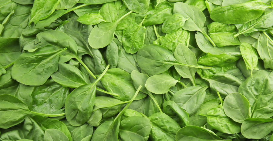 daun bayam sebagai obat alami