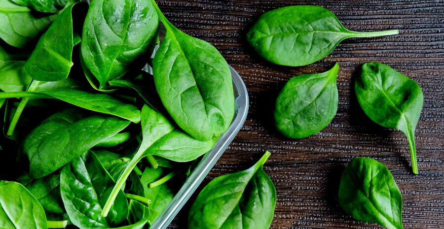 cara menanam daun bayam