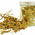 cara budidaya purwoceng di dataran tinggi