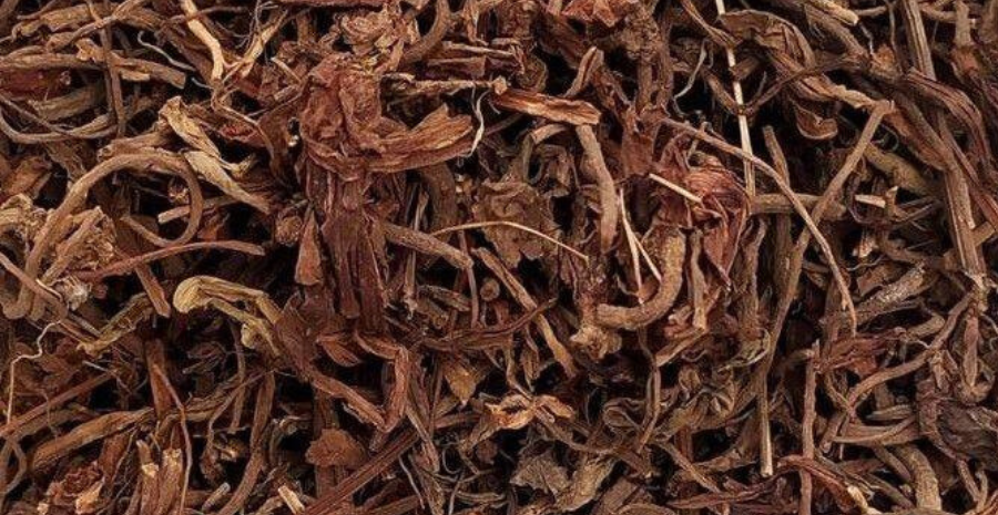 suplemen purwoceng untuk stamina