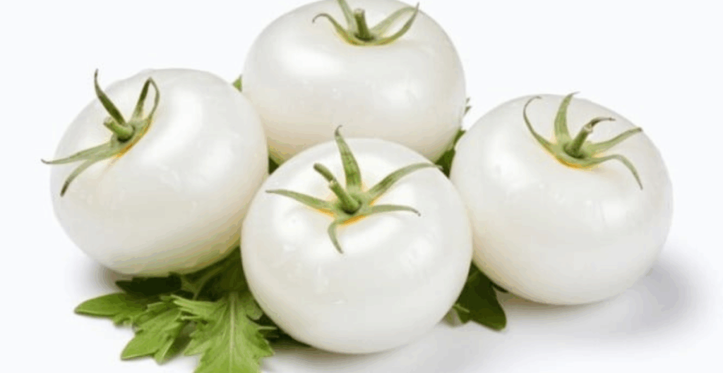 tomat putih untuk dekorasi makanan