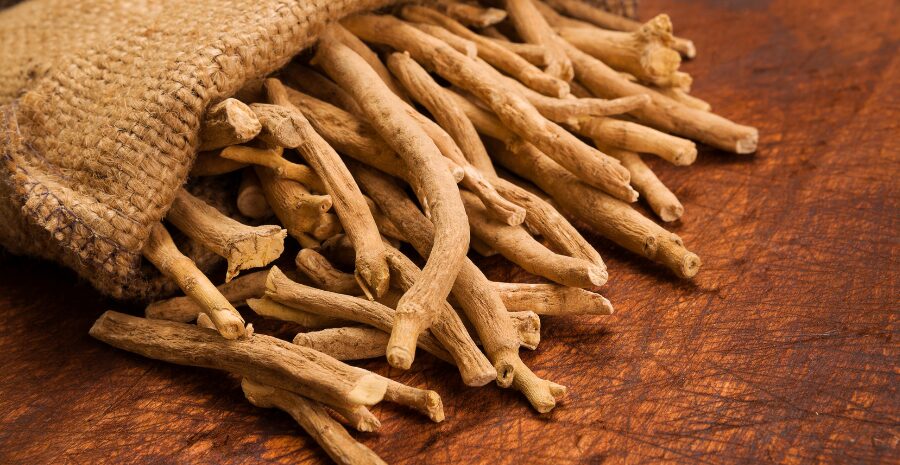 manfaat ashwagandha untuk pria