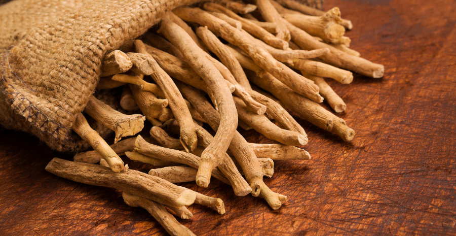 manfaat ashwagandha untuk pria