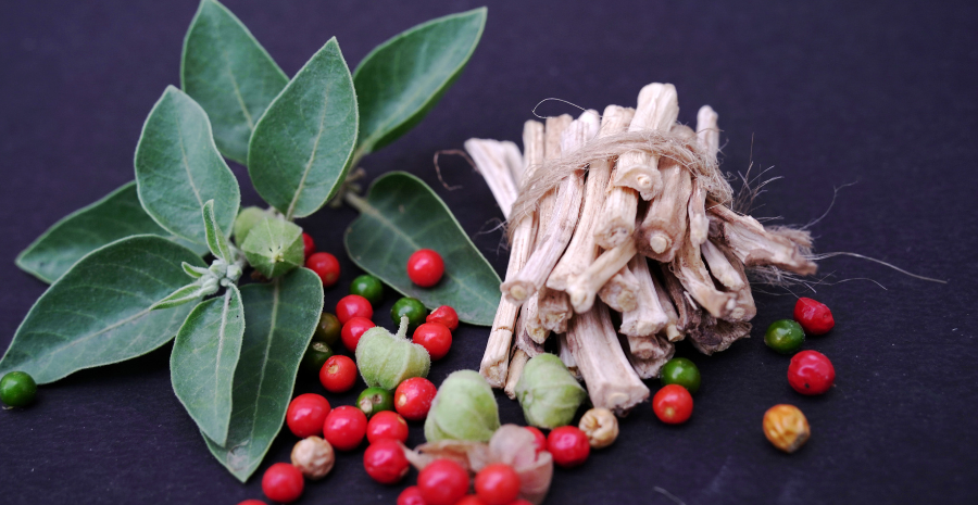 ashwagandha menambah energi