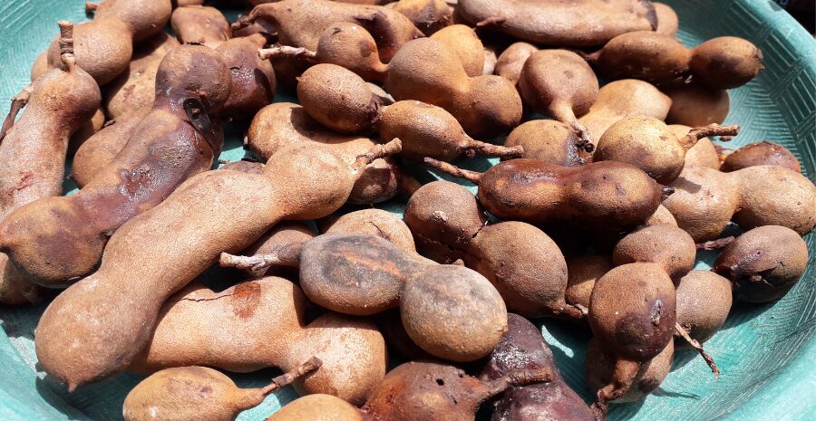 manfaat asam jawa untuk kesehatan