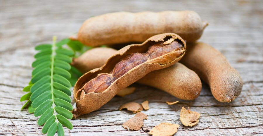 asam jawa untuk demam dan b