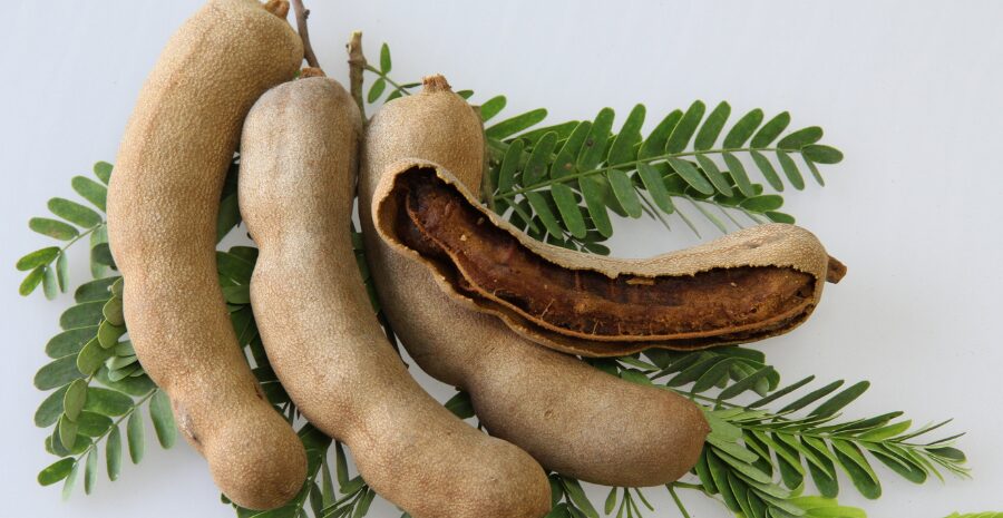 resep minuman asam jawa segar